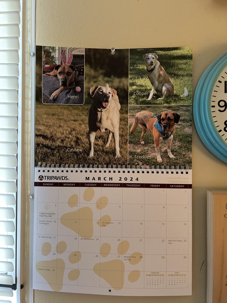The irony that he was on the March, 2024 Tripawds calendar is not lost on me.